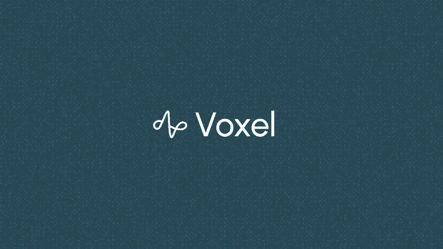 Voxel